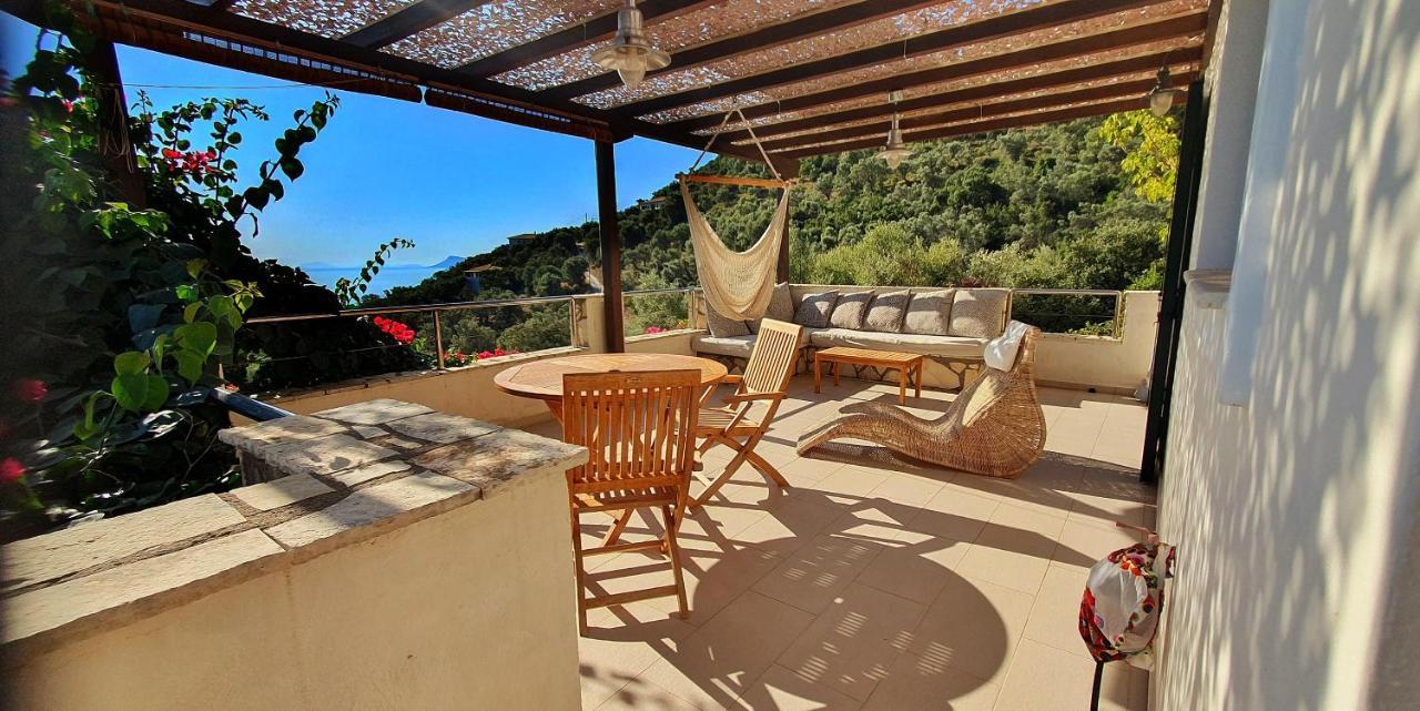 Selene Villa *